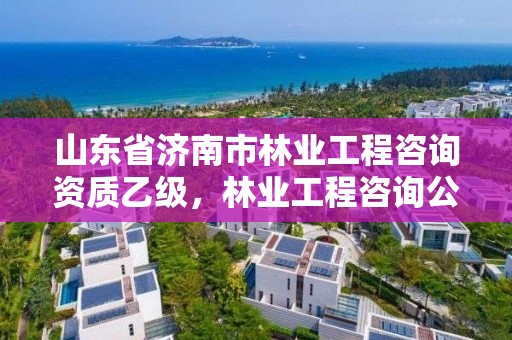 山东省济南市林业工程咨询资质乙级，林业工程咨询公司