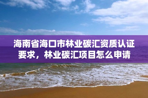 海南省海口市林业碳汇资质认证要求，林业碳汇项目怎么申请