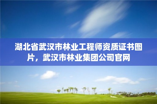 湖北省武汉市林业工程师资质证书图片，武汉市林业集团公司官网