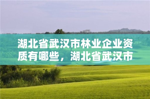 湖北省武汉市林业企业资质有哪些，湖北省武汉市林业企业资质有哪些公司