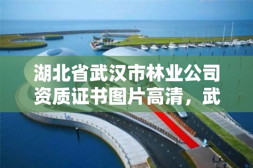 湖北省武汉市林业公司资质证书图片高清，武汉林业发展公司