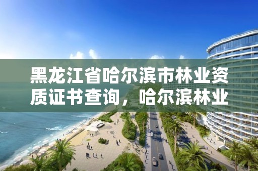 黑龙江省哈尔滨市林业资质证书查询，哈尔滨林业技术人员