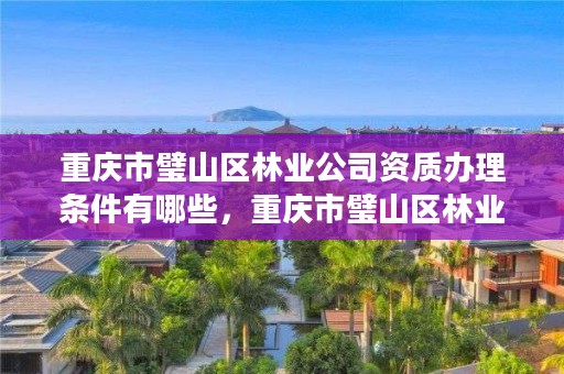 重庆市璧山区林业公司资质办理条件有哪些，重庆市璧山区林业公司资质办理条件有哪些内容