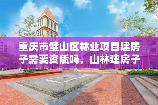 重庆市璧山区林业项目建房子需要资质吗，山林建房子需要批准吗