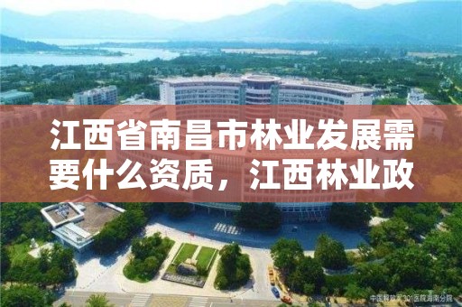 江西省南昌市林业发展需要什么资质，江西林业政策