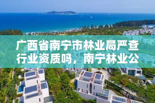 广西省南宁市林业局严查行业资质吗，南宁林业公司