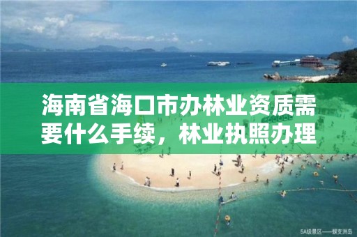 海南省海口市办林业资质需要什么手续，林业执照办理流程