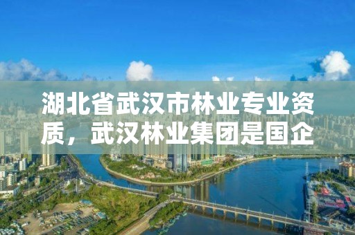 湖北省武汉市林业专业资质，武汉林业集团是国企吗