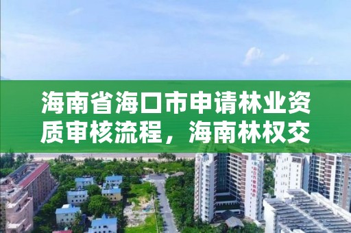 海南省海口市申请林业资质审核流程，海南林权交易中心