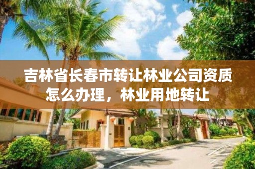 吉林省长春市转让林业公司资质怎么办理，林业用地转让