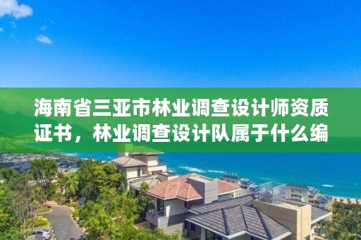 海南省三亚市林业调查设计师资质证书，林业调查设计队属于什么编制