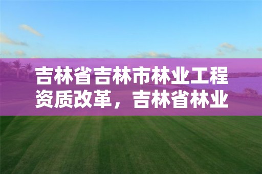 吉林省吉林市林业工程资质改革，吉林省林业工程公司