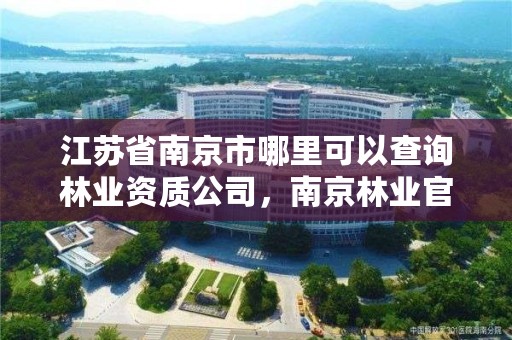 江苏省南京市哪里可以查询林业资质公司，南京林业官网登录查询