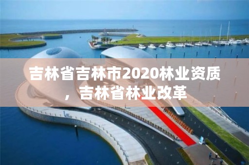 吉林省吉林市2020林业资质，吉林省林业改革