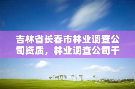 吉林省长春市林业调查公司资质，林业调查公司干什么的