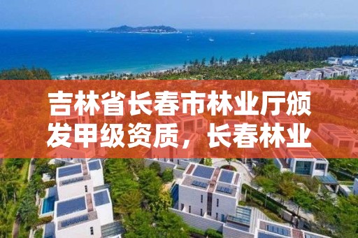 吉林省长春市林业厅颁发甲级资质，长春林业局工资是多少