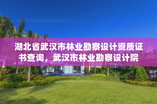 湖北省武汉市林业勘察设计资质证书查询，武汉市林业勘察设计院