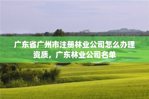 广东省广州市注册林业公司怎么办理资质，广东林业公司名单