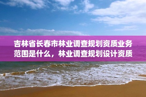 吉林省长春市林业调查规划资质业务范围是什么，林业调查规划设计资质乙级业务范围