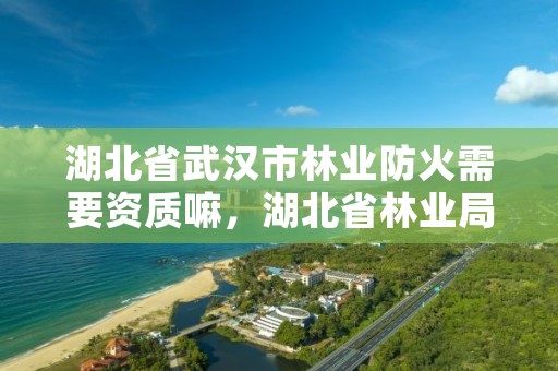 湖北省武汉市林业防火需要资质嘛，湖北省林业局防火值班电话