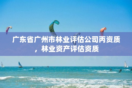 广东省广州市林业评估公司丙资质，林业资产评估资质