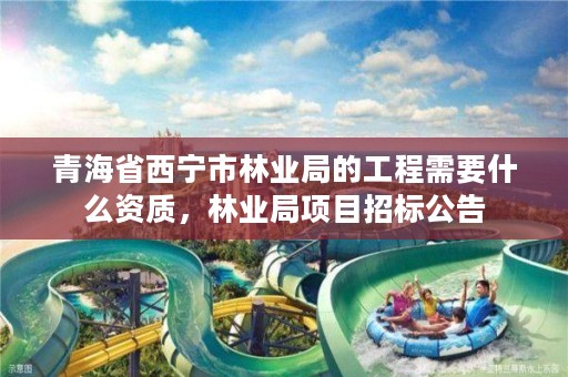 青海省西宁市林业局的工程需要什么资质，林业局项目招标公告