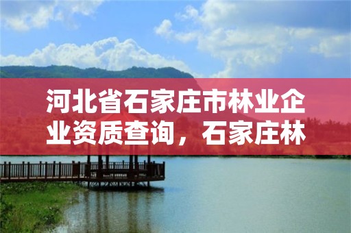 河北省石家庄市林业企业资质查询，石家庄林业局官网