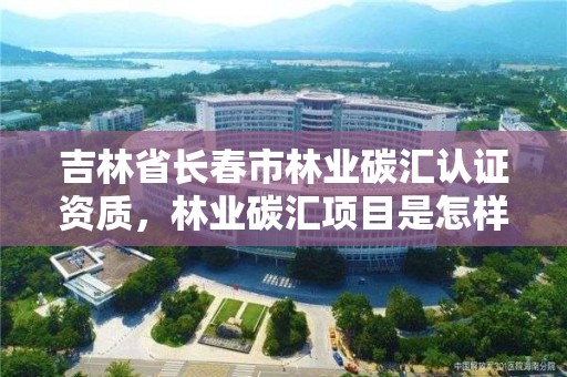 吉林省长春市林业碳汇认证资质，林业碳汇项目是怎样设骗局的