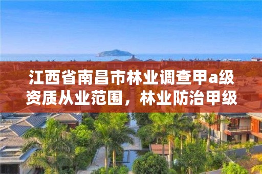 江西省南昌市林业调查甲a级资质从业范围，林业防治甲级资质证书