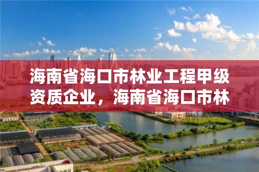 海南省海口市林业工程甲级资质企业，海南省海口市林业工程甲级资质企业名单