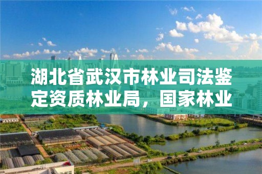 湖北省武汉市林业司法鉴定资质林业局，国家林业局林产品质量检验检测中心武汉