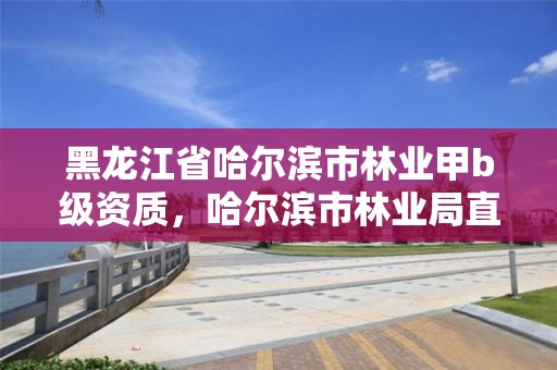 黑龙江省哈尔滨市林业甲b级资质，哈尔滨市林业局直属林场