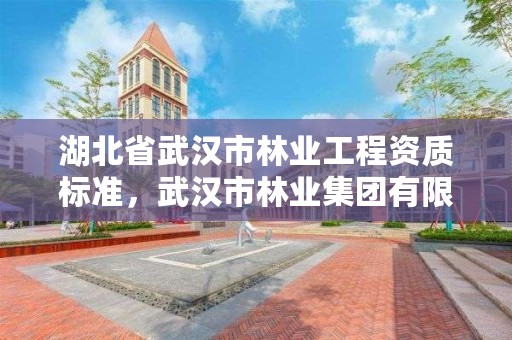 湖北省武汉市林业工程资质标准，武汉市林业集团有限公司