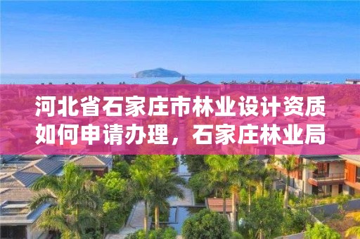 河北省石家庄市林业设计资质如何申请办理，石家庄林业局招标公告