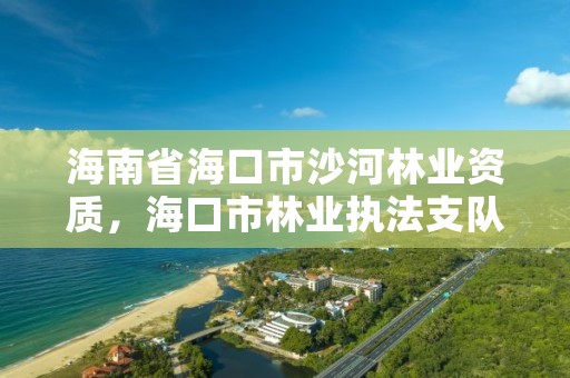 海南省海口市沙河林业资质，海口市林业执法支队