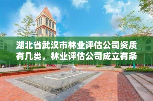 湖北省武汉市林业评估公司资质有几类，林业评估公司成立有条件