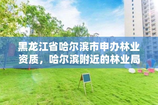 黑龙江省哈尔滨市申办林业资质，哈尔滨附近的林业局