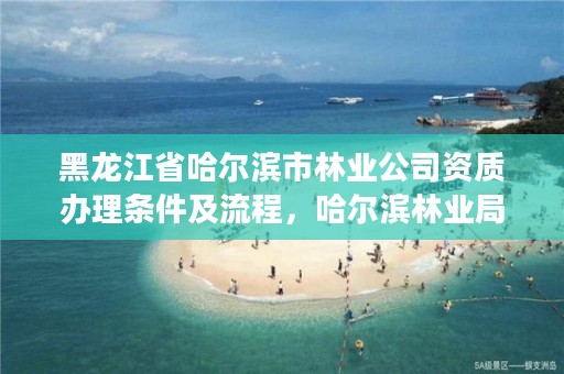 黑龙江省哈尔滨市林业公司资质办理条件及流程，哈尔滨林业局在哪