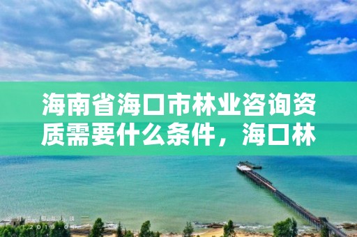 海南省海口市林业咨询资质需要什么条件，海口林业服务中心