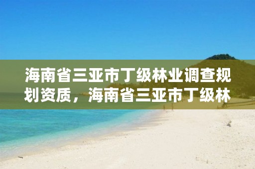 海南省三亚市丁级林业调查规划资质，海南省三亚市丁级林业调查规划资质有哪些