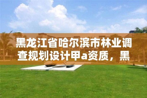 黑龙江省哈尔滨市林业调查规划设计甲a资质，黑龙江林业调查规划设计院