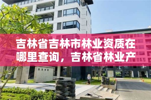 吉林省吉林市林业资质在哪里查询，吉林省林业产品质量监督检验站