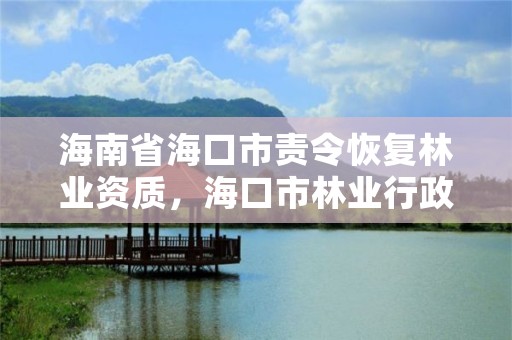 海南省海口市责令恢复林业资质，海口市林业行政执法支队