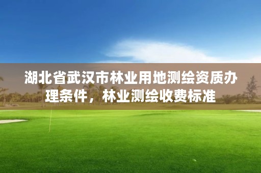 湖北省武汉市林业用地测绘资质办理条件，林业测绘收费标准