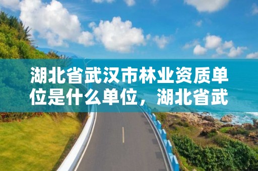 湖北省武汉市林业资质单位是什么单位，湖北省武汉市林业资质单位是什么单位啊