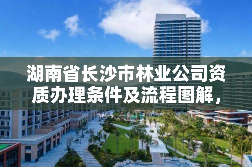 湖南省长沙市林业公司资质办理条件及流程图解，长沙林业局怎么样