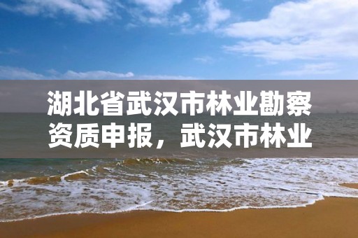 湖北省武汉市林业勘察资质申报，武汉市林业调查规划设计院有限公司