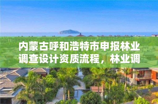 内蒙古呼和浩特市申报林业调查设计资质流程，林业调查规划设计资质查询