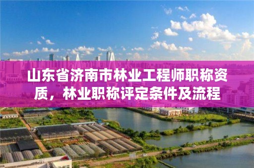 山东省济南市林业工程师职称资质，林业职称评定条件及流程