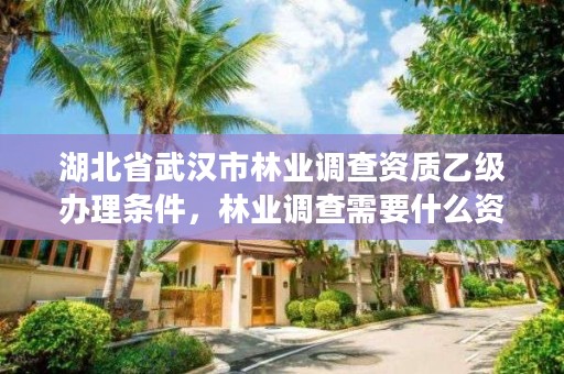 湖北省武汉市林业调查资质乙级办理条件，林业调查需要什么资质